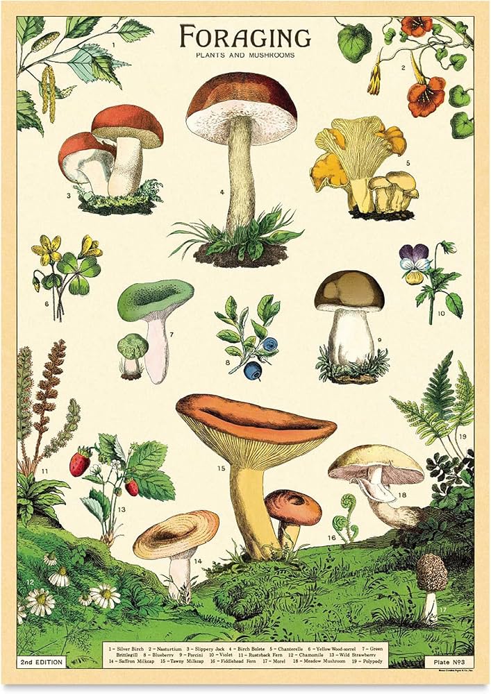 Cavallini Papers & Co. Inc Posters