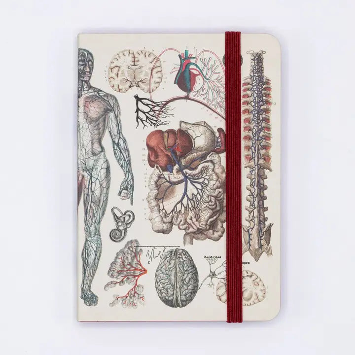 Anatomy & Physiology Observation Softcover Notebook