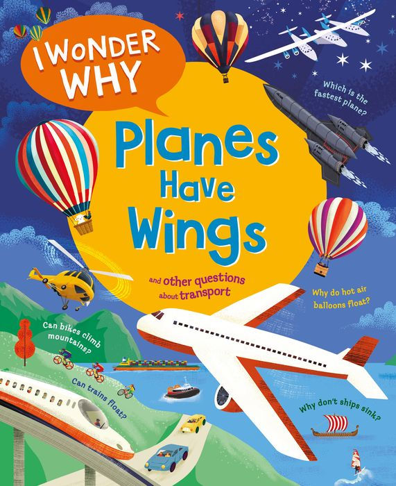 I WONDER WHY PLANES HAVE WINGS