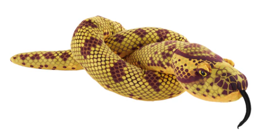 Anaconda Snake