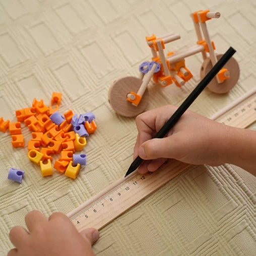 Beaver Construction Kit- 100 pieces