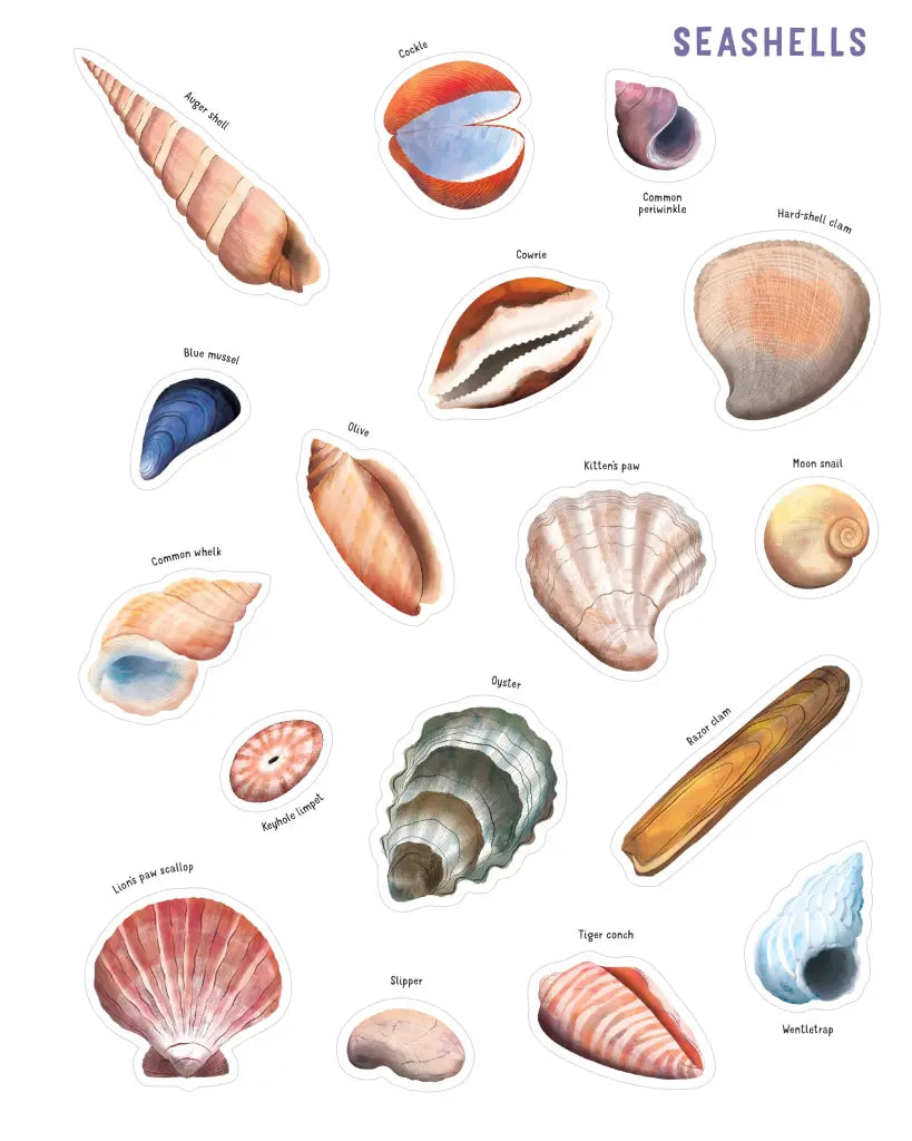 Backpack Explorer Stickers: Ocean Adventure Format