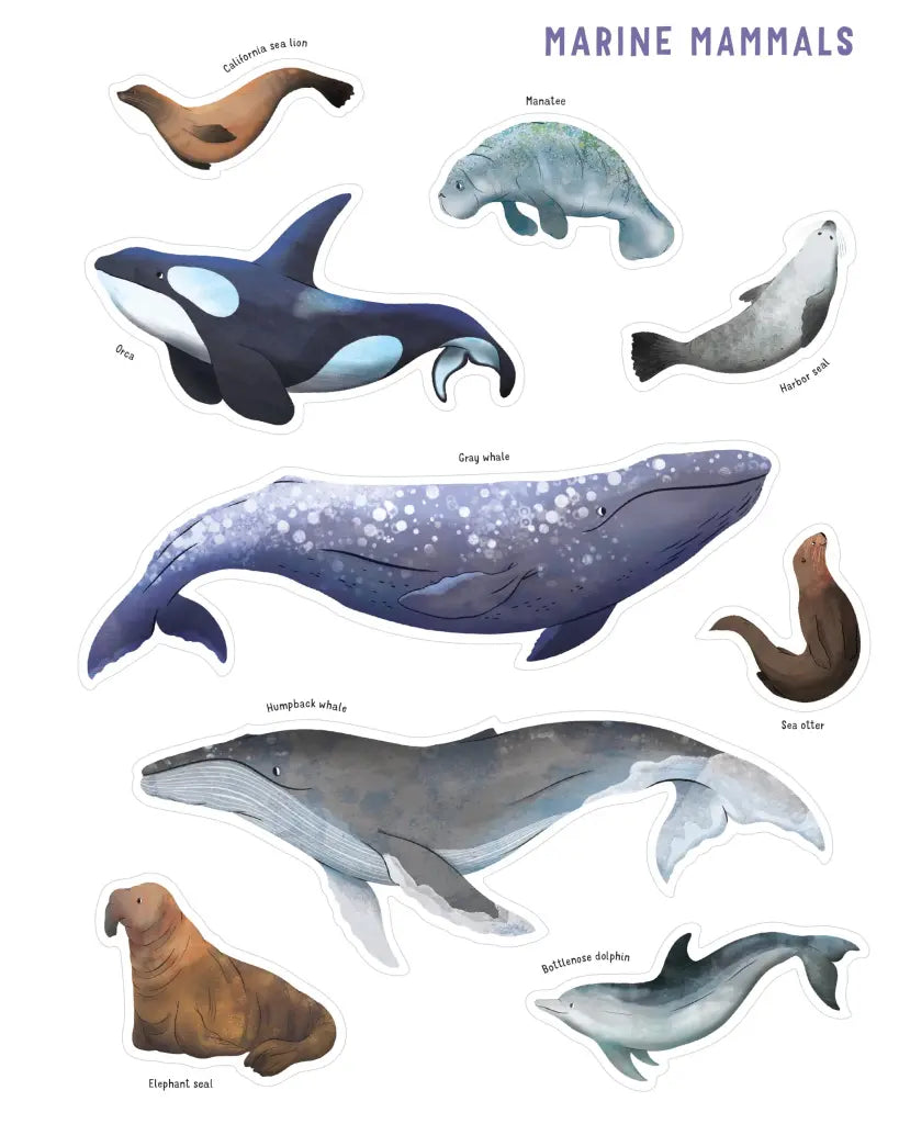 Backpack Explorer Stickers: Ocean Adventure Format