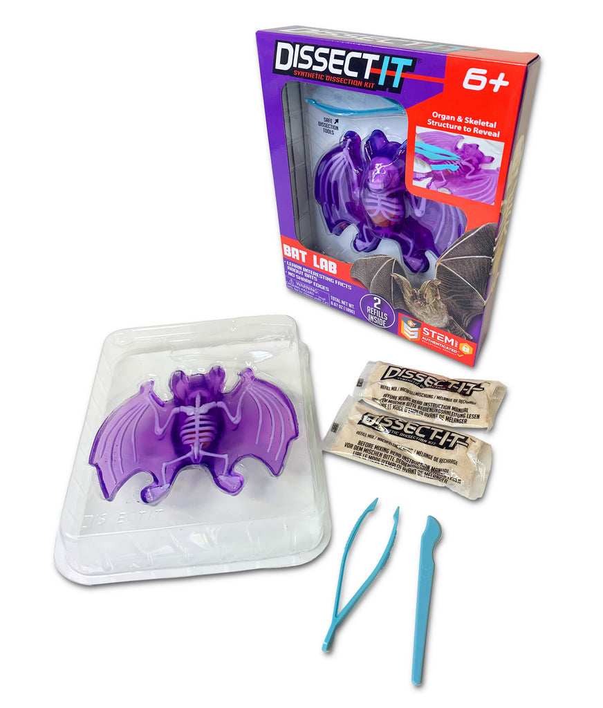Dissect It - Bat