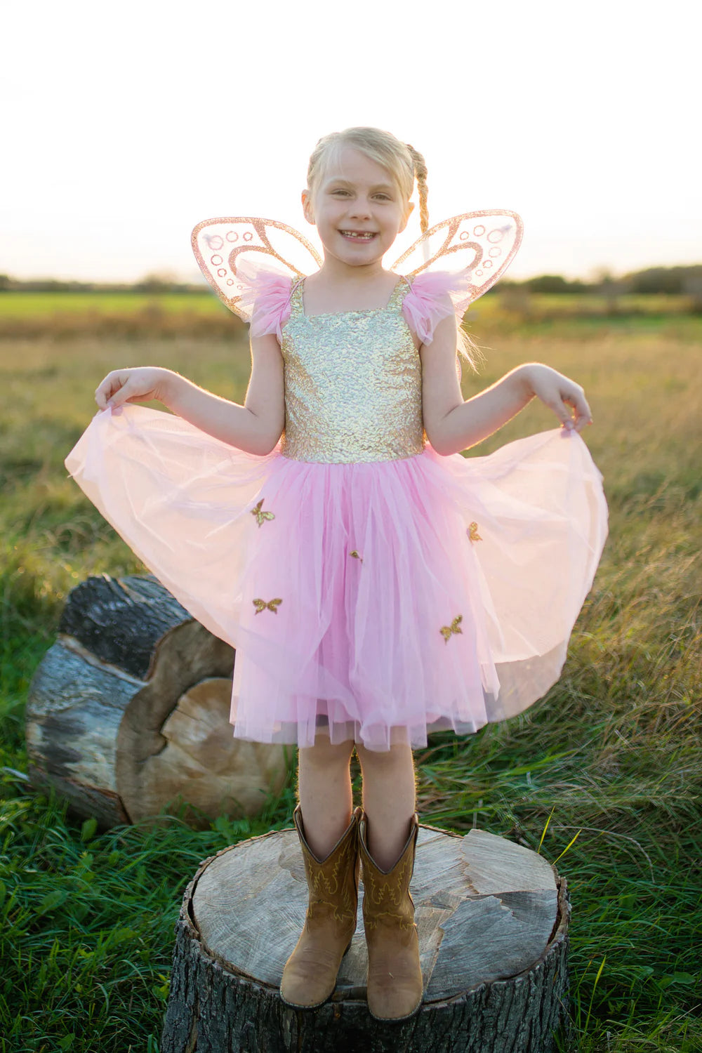 Gold Butterfly Dress & Wings