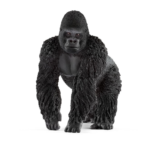Gorilla (Male)