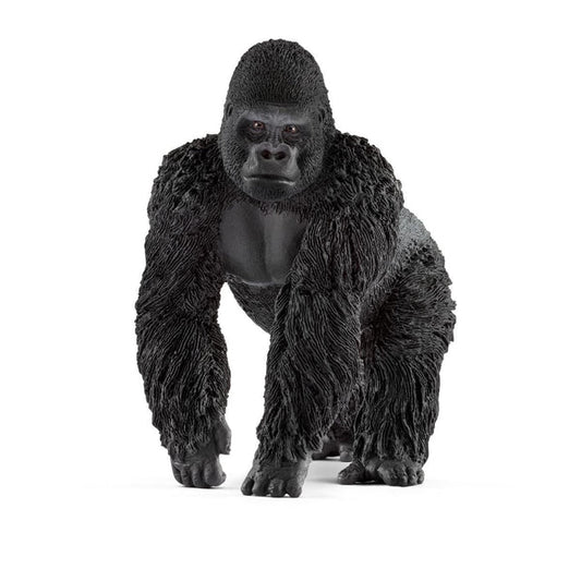 Gorilla (Male)