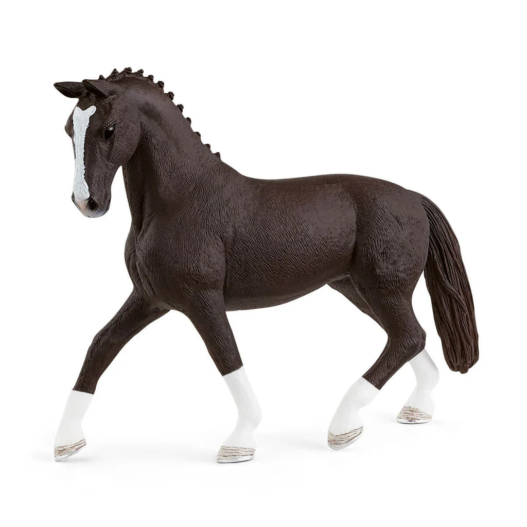 Hanoverian Mare (Black)