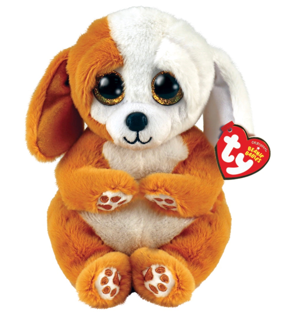 Ruggles brown and white dog