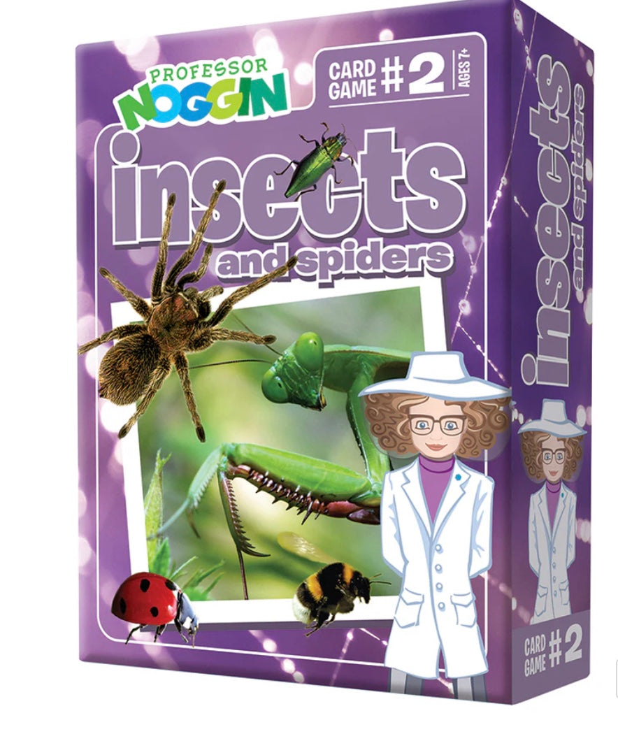 Prof. Noggin Insects and Spiders