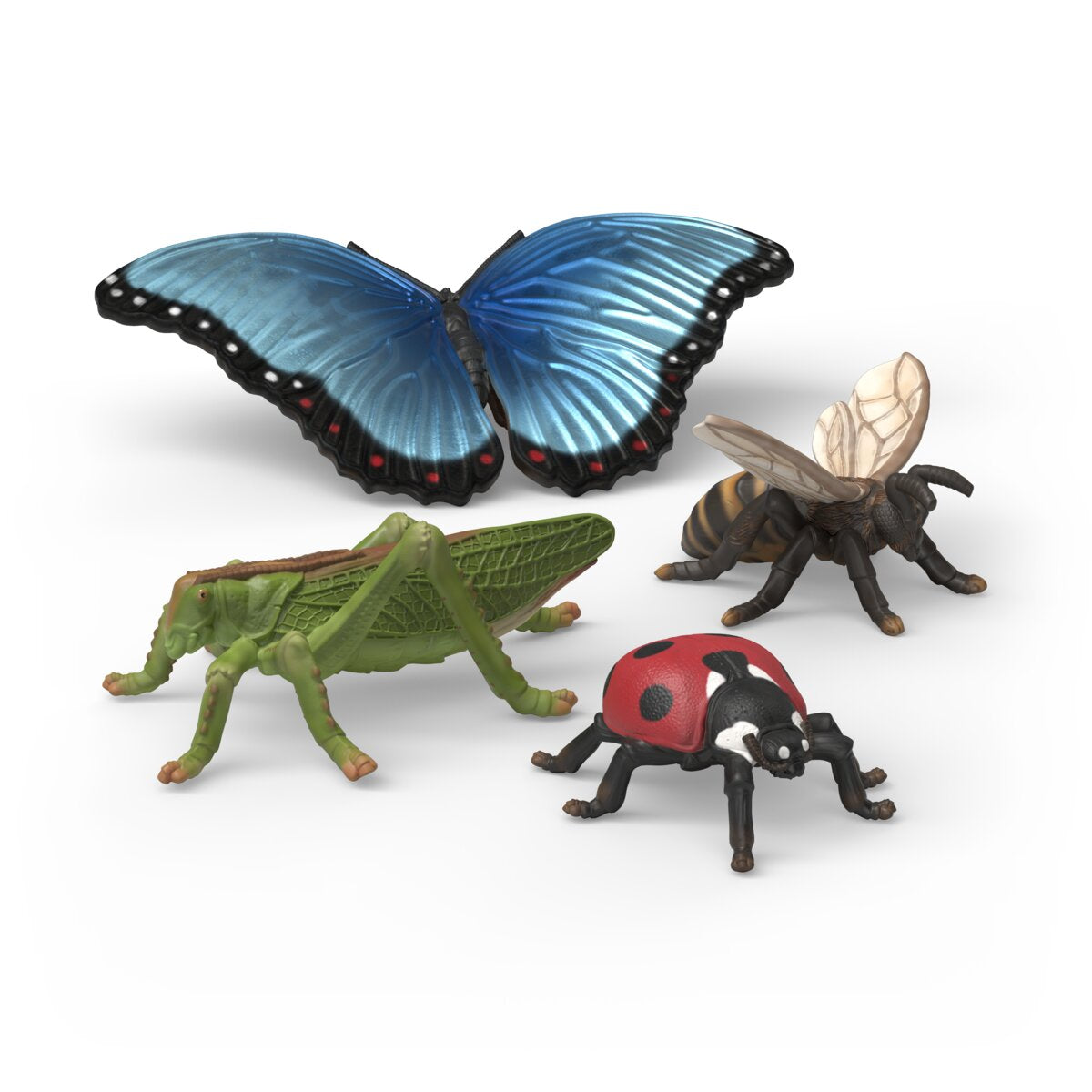 Insect Discovery Set