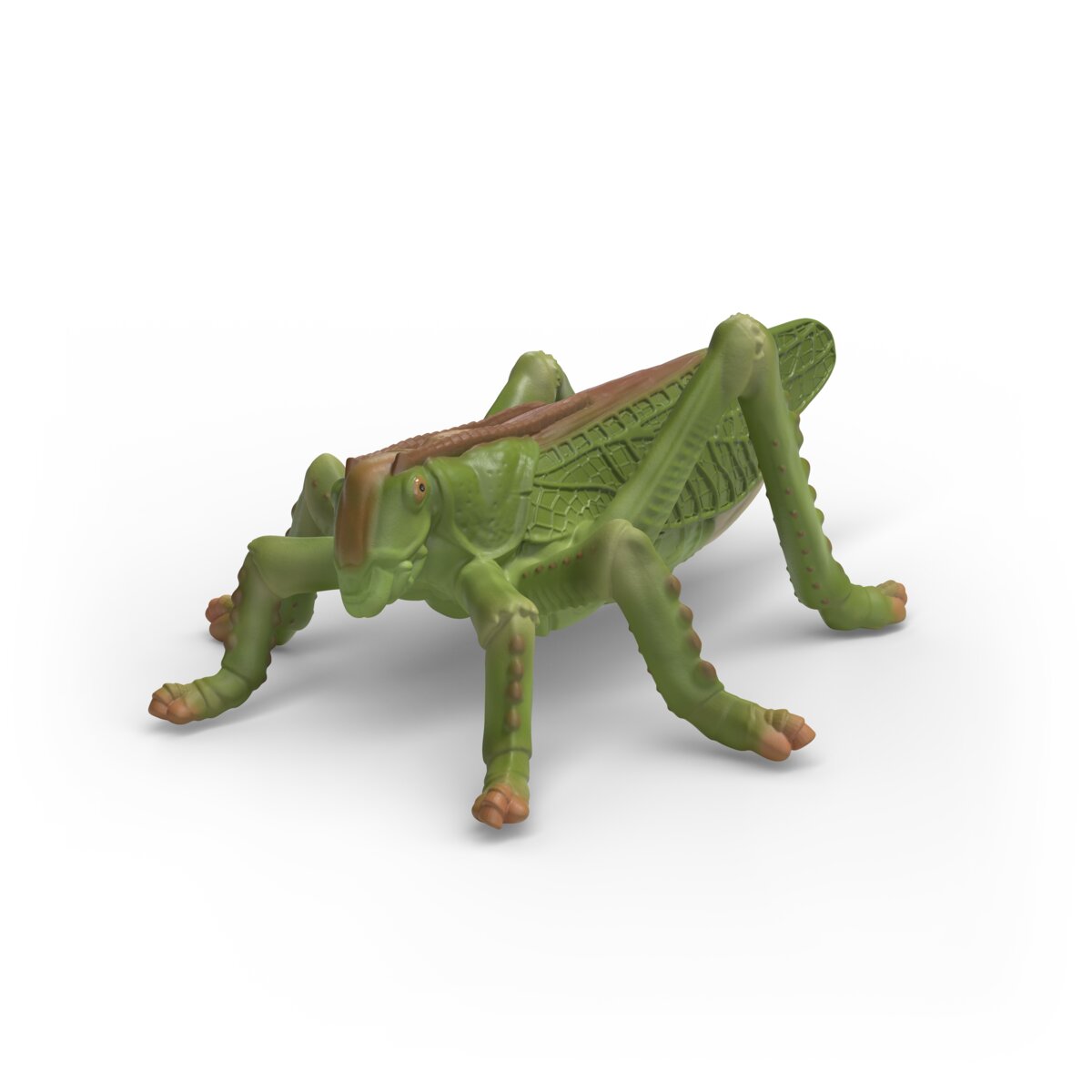 Insect Discovery Set