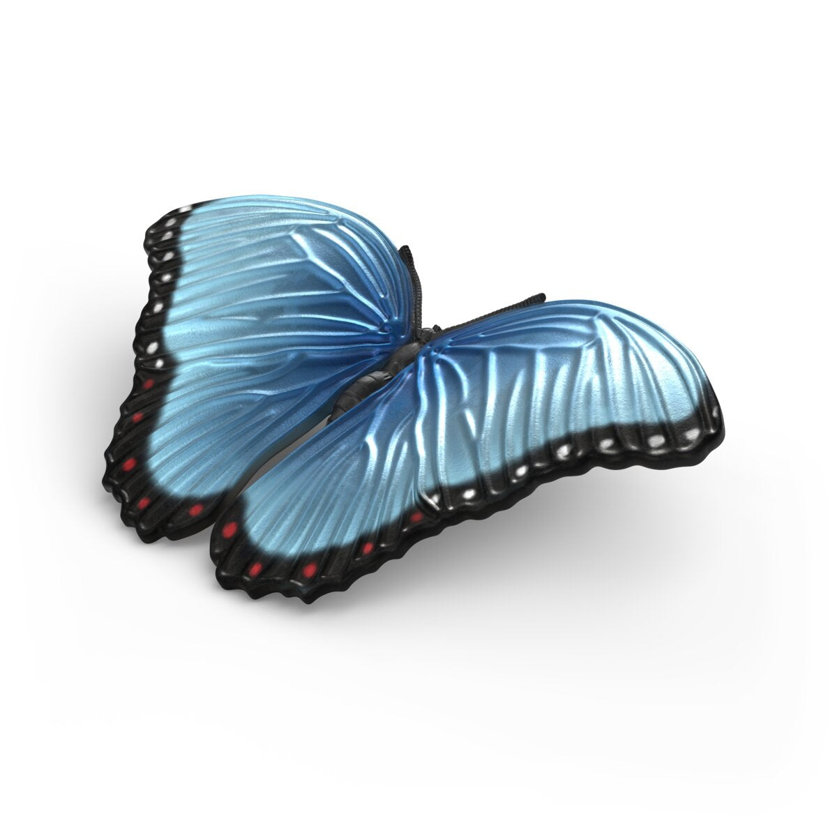Insect Discovery Set