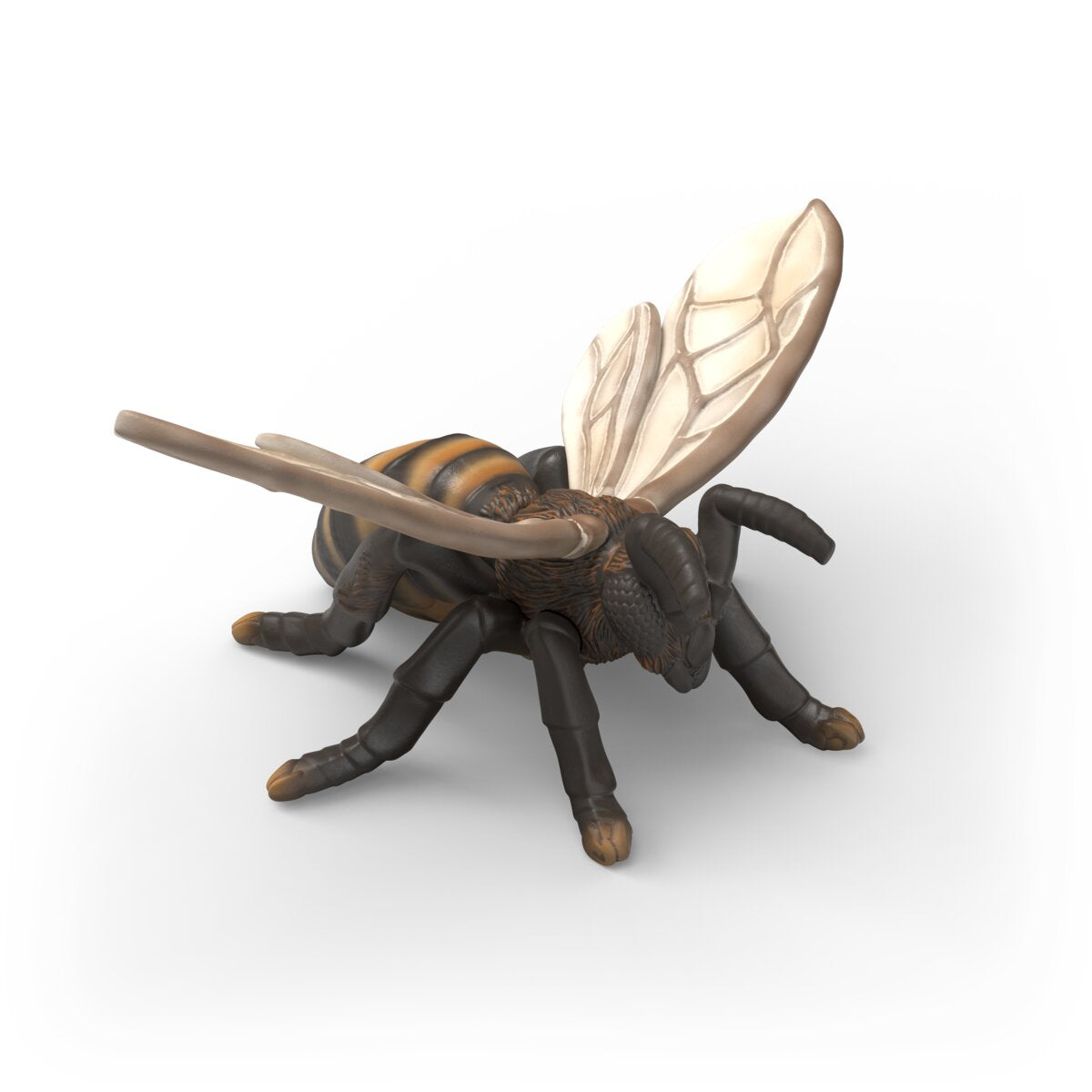 Insect Discovery Set