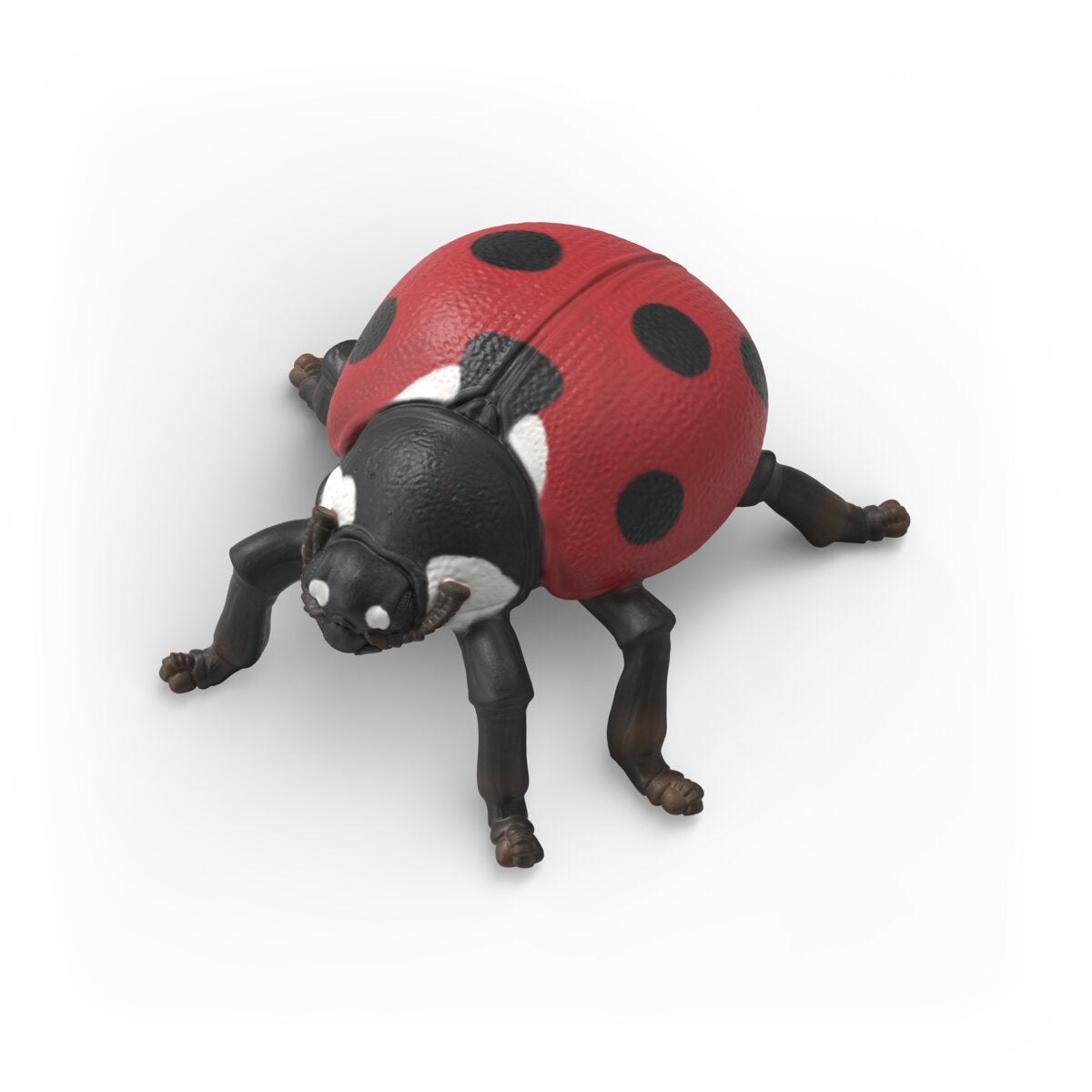 Insect Discovery Set