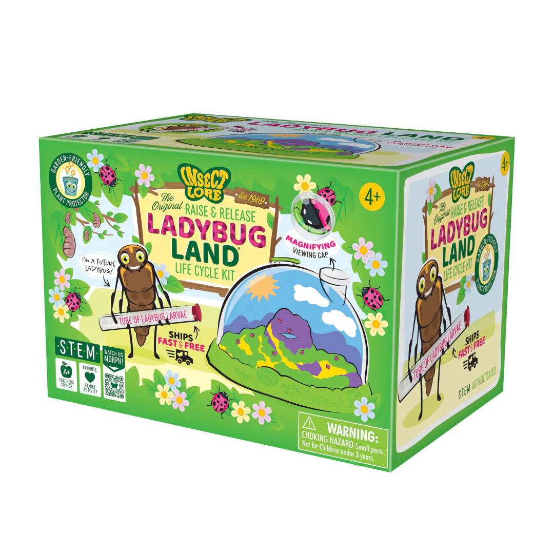 Ladybug land