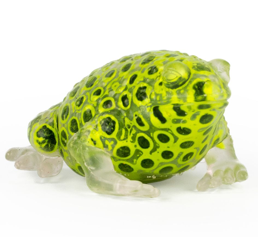 Beadz Alive Frog