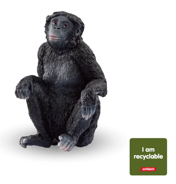 Bonobo Female