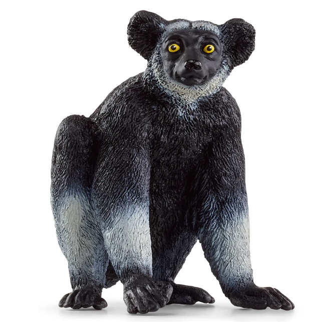 Indri