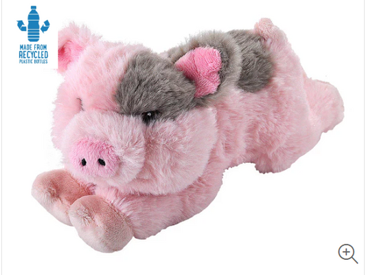 Ecokins Mini Pig