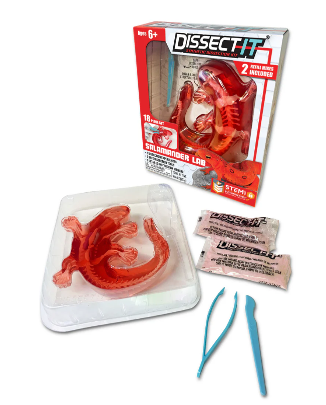 Dissect It - Salamander