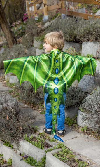Legendary Dragon Soft Wings & Mask (Size 4-6)