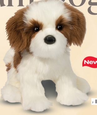 Farren Shih Tzu