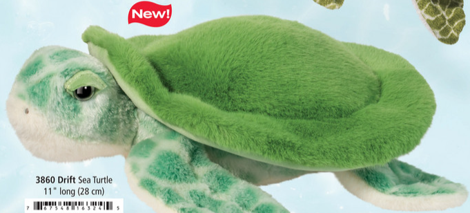 Drift Sea Turtle