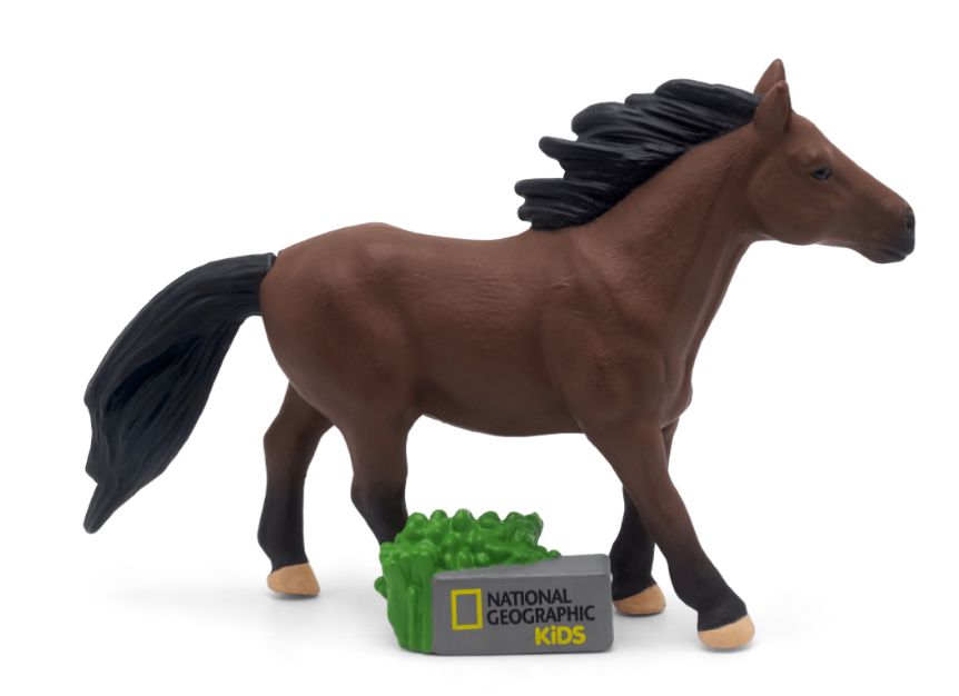 National Geographic Horse Tonie