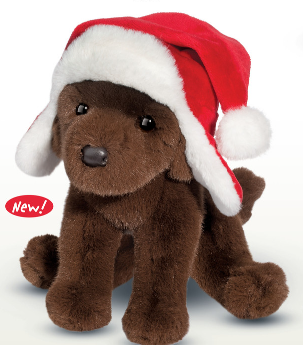Festive Chocolate Lab with Bomber Hat