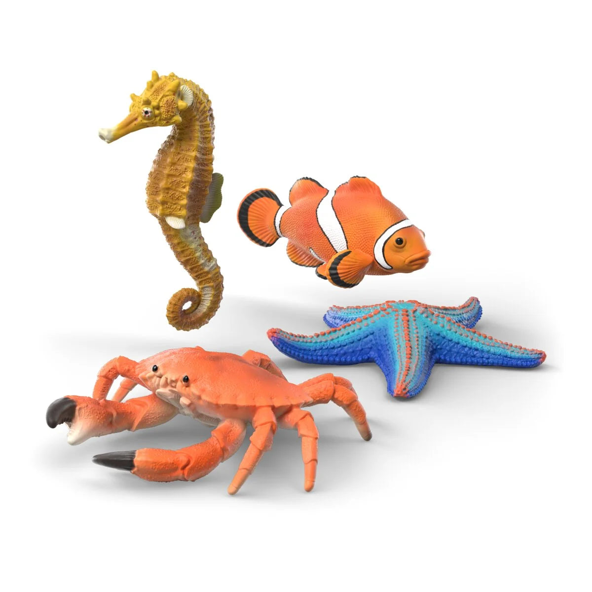 Sea Animal Discovery Set
