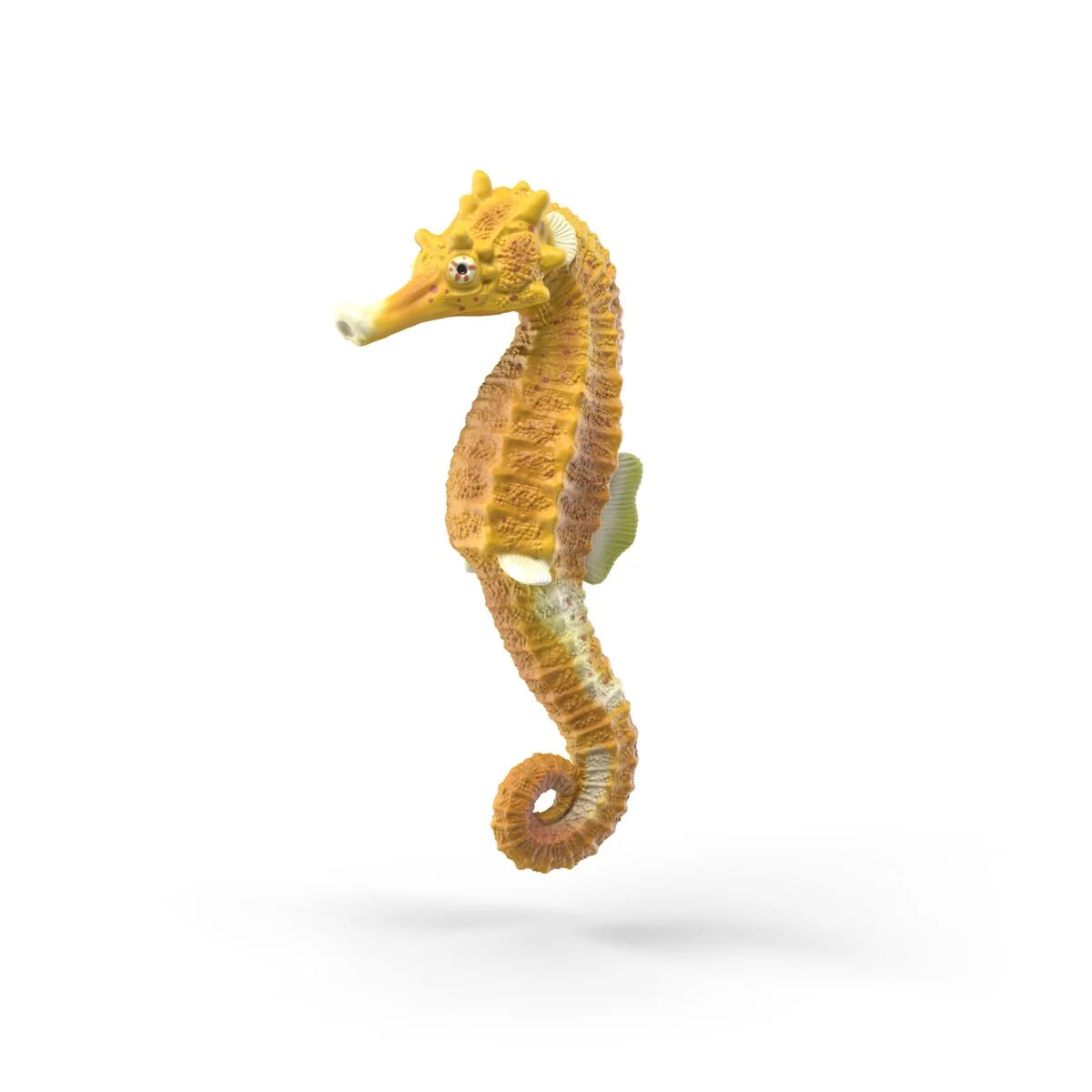 Sea Animal Discovery Set
