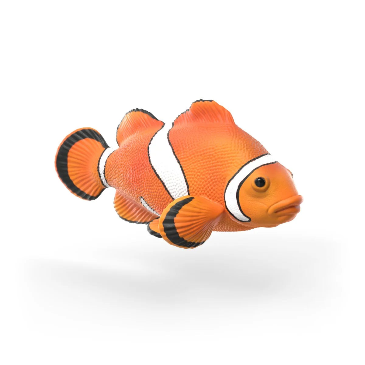 Sea Animal Discovery Set