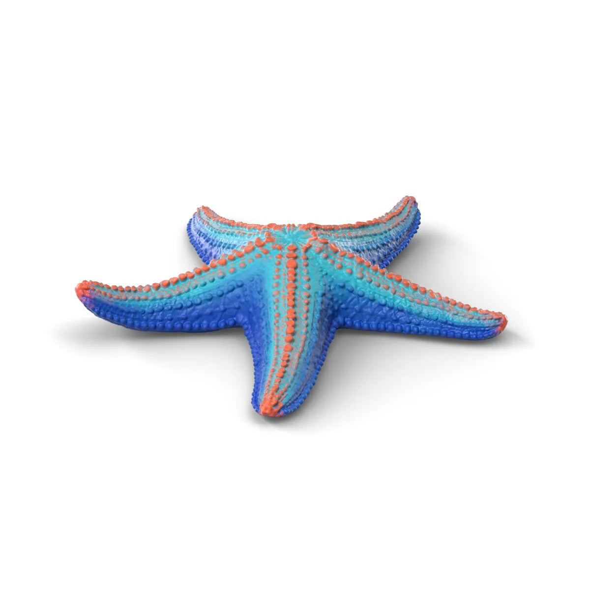 Sea Animal Discovery Set