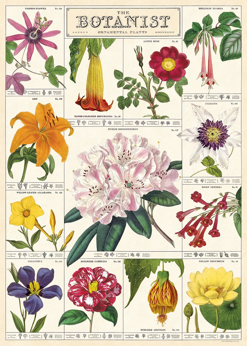 Cavallini Papers & Co. Inc Posters