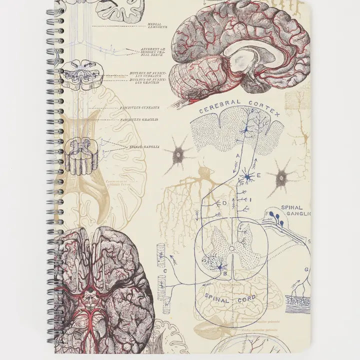Brain & Neuroscience Spiral Notebook