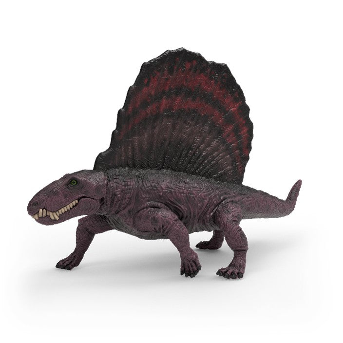 Dimetrodon