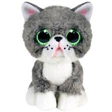 Fergus Grey Cat