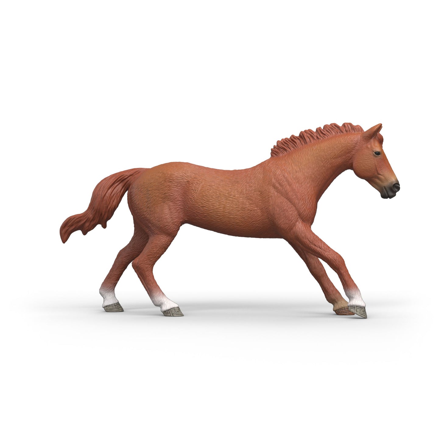 English Thoroughbred Stallion