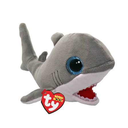 Finnegan The Gray Shark