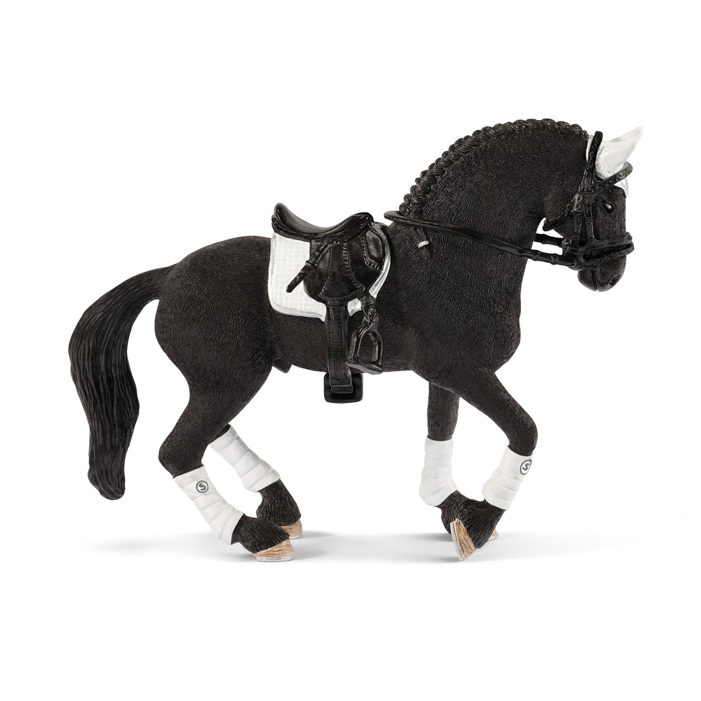 Friesian Stallion Riding Tournament