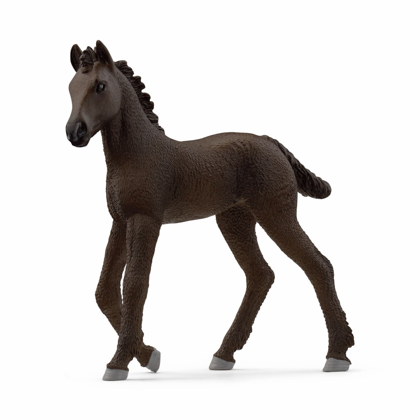 Frisian Foal