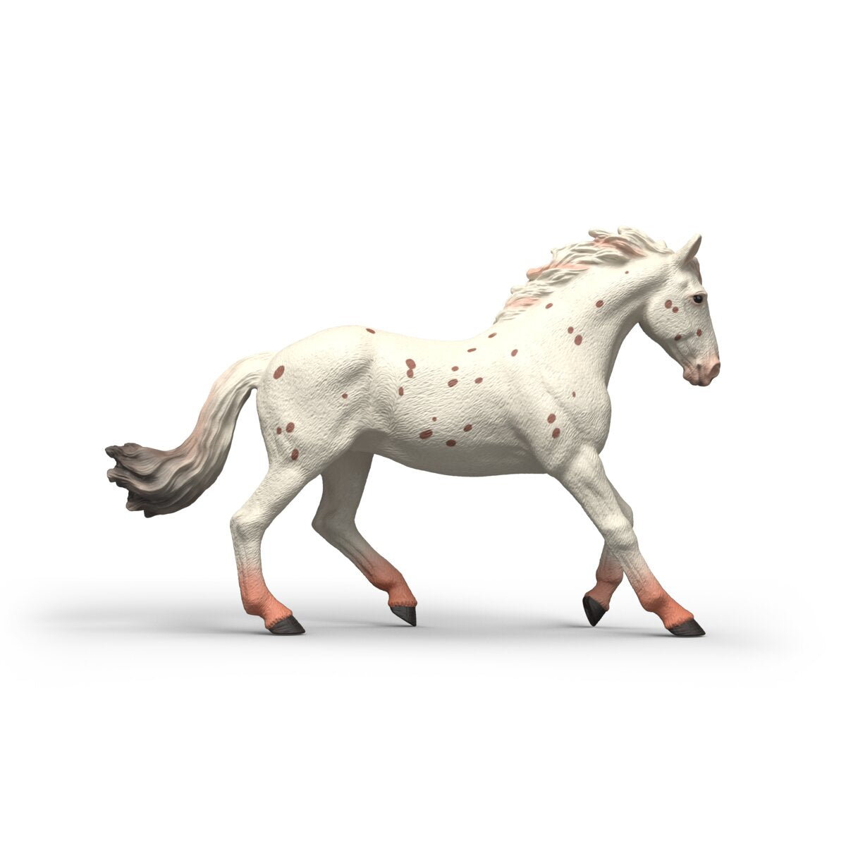 Knabstrupper Mare