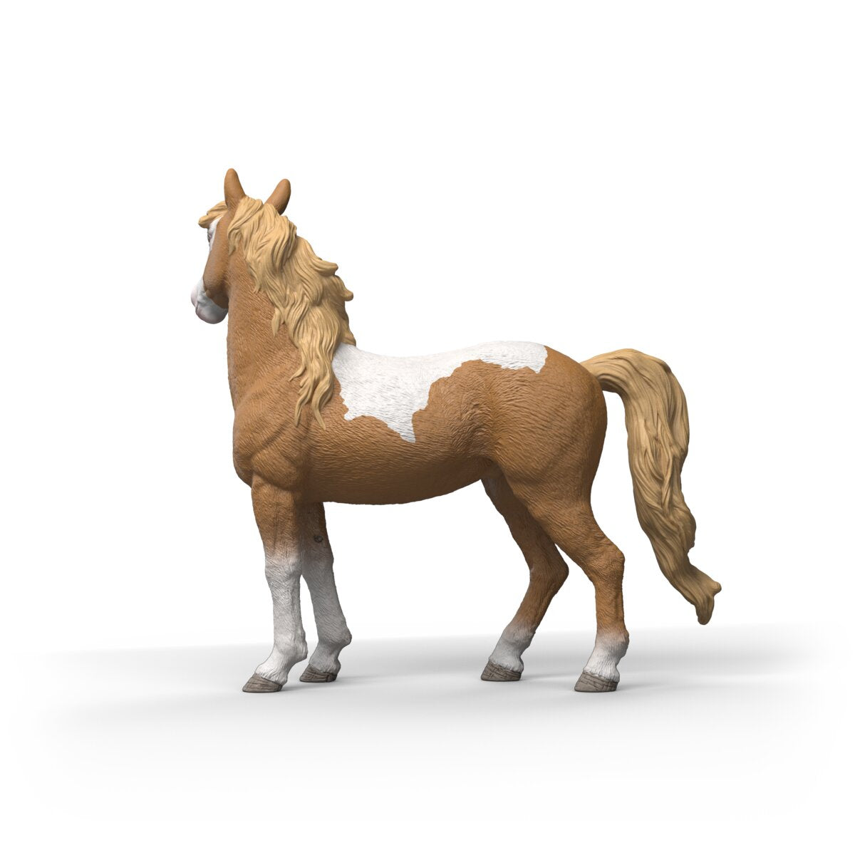 Mustang Mare