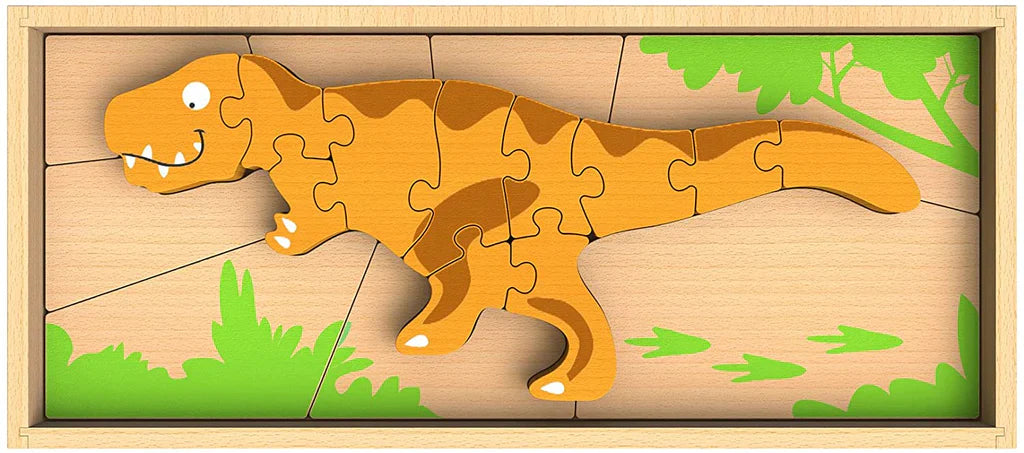 Dino Skeleton