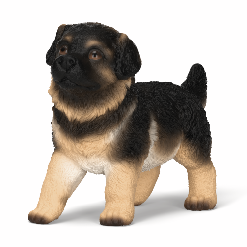 German Shepherd Puppy (03/2026)