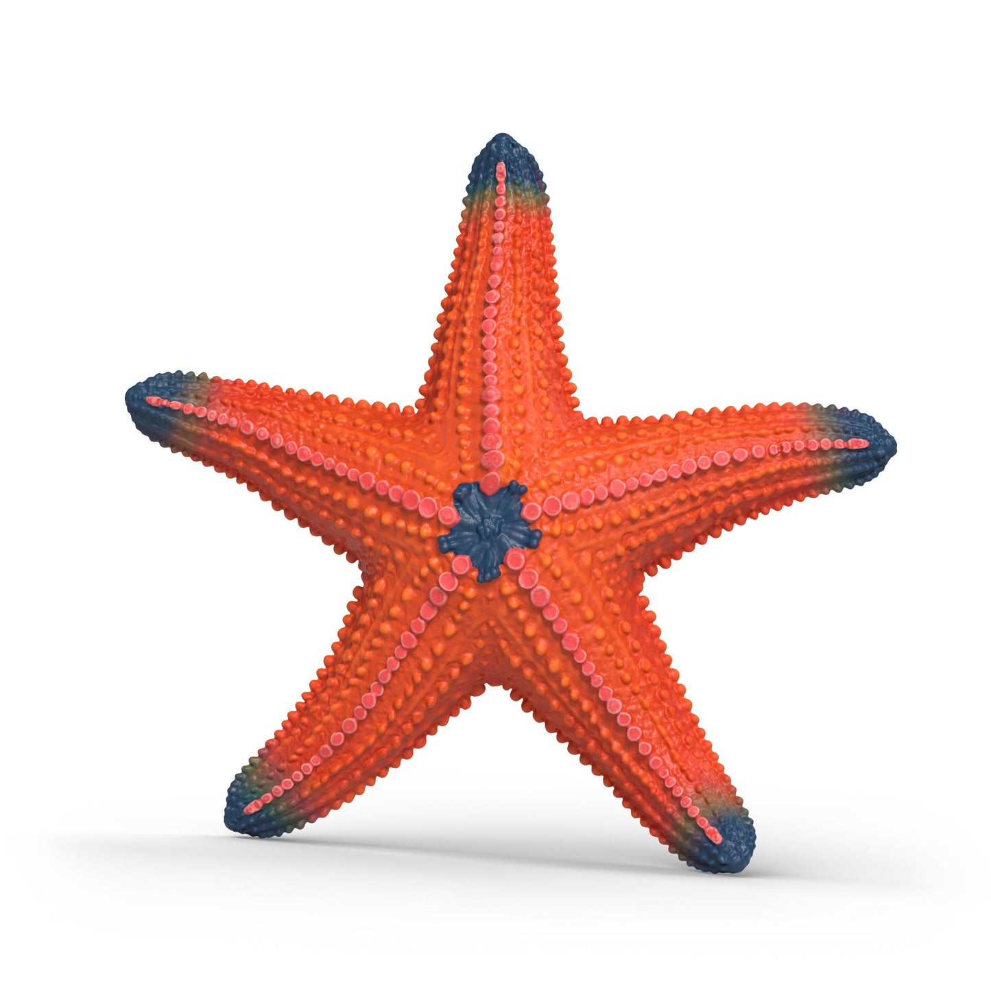 Color-Changing Starfish