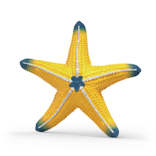 Color-Changing Starfish
