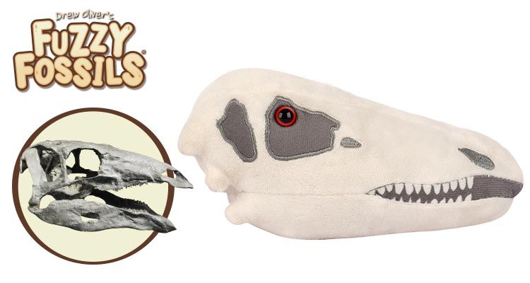 Stegosaurus Skull