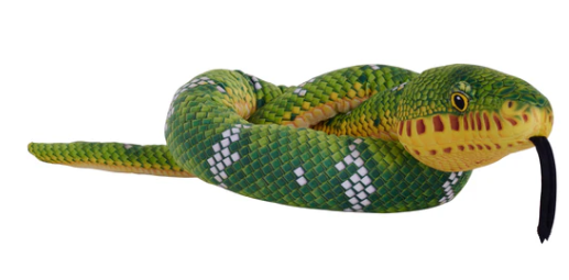 Emerald Tree Boa Snake